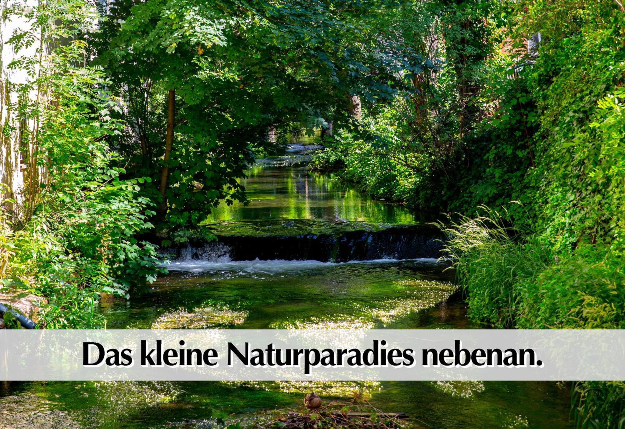 Stadtperle Am Plaetschernden Wasser - 50M2 2R Malerische Fewo In Top Lage إرفورت المظهر الخارجي الصورة